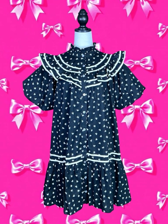 entro Dresses & Skirts - Entro NWOT Retro Grandmacore Coquette Eclectic Grandpa Twee Whimsigoth Dress L